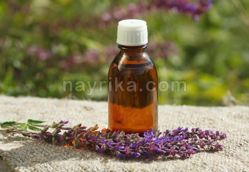 روغن مریم گلی, روغن گیاهی برای تقویت موی سر, روغن گیاهی برای تقویت مو, روغنهای گیاهی برای تقویت مو, بهترین روغن برای پرپشت شدن و تقویت روغن مریم گلی, روغن گیاهی برای تقویت موی سر, روغن گیاهی برای تقویت مو, روغنهای گیاهی برای تقویت مو, بهترین روغن برای پرپشت شدن و تقویت