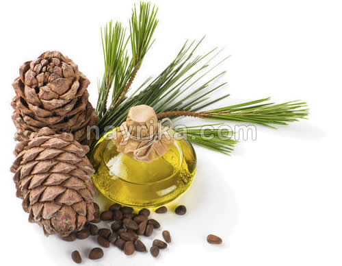 روغن چوب سدر, روغن گیاهی برای تقویت موی سر, روغن گیاهی برای تقویت مو, روغنهای گیاهی برای تقویت مو, بهترین روغن برای پرپشت شدن و تقویت روغن چوب سدر, روغن گیاهی برای تقویت موی سر, روغن گیاهی برای تقویت مو, روغنهای گیاهی برای تقویت مو, بهترین روغن برای پرپشت شدن و تقویت