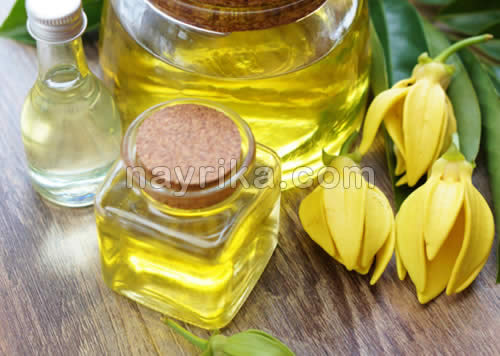 روغن یلانگ یلانگ, روغن گیاهی برای تقویت موی سر, روغن گیاهی برای تقویت مو, روغنهای گیاهی برای تقویت مو, بهترین روغن برای پرپشت شدن و تقویت روغن یلانگ یلانگ, روغن گیاهی برای تقویت موی سر, روغن گیاهی برای تقویت مو, روغنهای گیاهی برای تقویت مو, بهترین روغن برای پرپشت شدن و تقویت