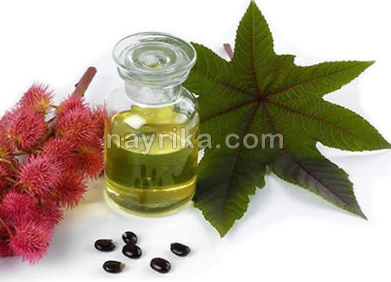 پرپشت شدن مو با روغن کرچک, روغن کرچک برای ضخیم شدن مو, ماسک روغن کرچک برای مو, طرز استفاده از روغن کرچک برای مو, روغن کرچک برای رشد مو پرپشت شدن مو با روغن کرچک, روغن کرچک برای ضخیم شدن مو, ماسک روغن کرچک برای مو, طرز استفاده از روغن کرچک برای مو, روغن کرچک برای رشد مو