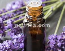 روغن اسطوخودوس : خواص برای پوست و مو و مضرات / طبع و طرز تهیه روغن اسطوخودوس : خواص برای پوست و مو و مضرات / طبع و طرز تهیه
