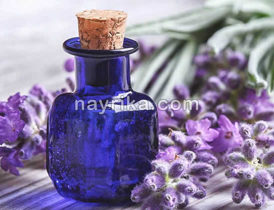 خواص روغن اسطوخودوس / روغن اسطوخودوس برای پوست / روغن اسطوخودوس برای مو / خواص روغن اسطوخودوس برای جوش / خواص روغن اسطوخودوس برای پوست صورت خواص روغن اسطوخودوس / روغن اسطوخودوس برای پوست / روغن اسطوخودوس برای مو / خواص روغن اسطوخودوس برای جوش / خواص روغن اسطوخودوس برای پوست صورت