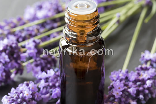 روغن اسطوخودوس / خواص روغن اسطوخودوس / روغن اسطوخودوس برای پوست / روغن اسطوخودوس برای مو / خواص روغن اسطوخودوس برای جوش / خواص روغن اسطوخودوس برای پوست صورت روغن اسطوخودوس / خواص روغن اسطوخودوس / روغن اسطوخودوس برای پوست / روغن اسطوخودوس برای مو / خواص روغن اسطوخودوس برای جوش / خواص روغن اسطوخودوس برای پوست صورت