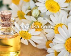 بابونه: مضرات، خواص بابونه برای معده، فشار خون، عفونت زنان / چای و بخور بابونه بابونه: مضرات، خواص بابونه برای معده، فشار خون، عفونت زنان / چای و بخور بابونه