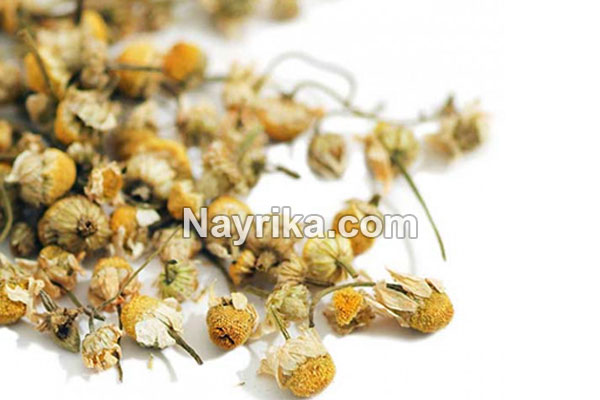 بابونه, مضرات بابونه, خواص بابونه, خواص بابونه برای معده, خواص دمنوش بابونه, بابونه و فشار خون, خواص بابونه برای عفونت زنان, بابونه رومی, چای بابونه, خواص چای بابونه, دمنوش بابونه, بخور بابونه بابونه, مضرات بابونه, خواص بابونه, خواص بابونه برای معده, خواص دمنوش بابونه, بابونه و فشار خون, خواص بابونه برای عفونت زنان, بابونه رومی, چای بابونه, خواص چای بابونه, دمنوش بابونه, بخور بابونه