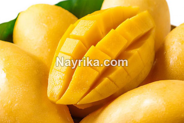 انبه, خواص انبه, مضرات انبه, طبع انبه, هسته انبه, خواص انبه برای پوست, خواص انبه برای کودکان, انبه گیلان, انبه سبز, طبیعت انبه انبه, خواص انبه, مضرات انبه, طبع انبه, هسته انبه, خواص انبه برای پوست, خواص انبه برای کودکان, انبه گیلان, انبه سبز, طبیعت انبه