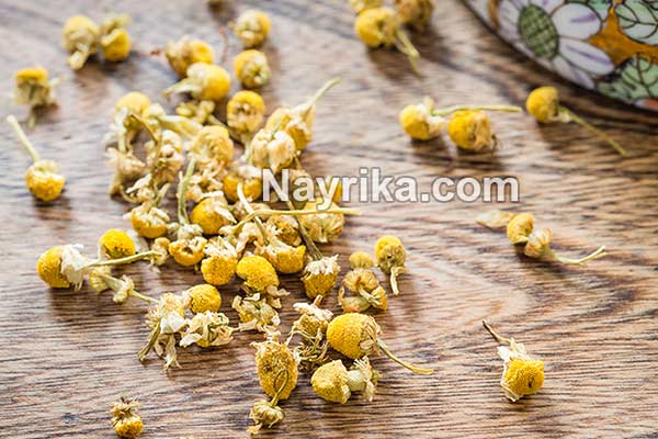 بابونه, مضرات بابونه, خواص بابونه, خواص بابونه برای معده, خواص دمنوش بابونه, بابونه و فشار خون, خواص بابونه برای عفونت زنان, بابونه رومی, چای بابونه, خواص چای بابونه, دمنوش بابونه, بخور بابونه بابونه, مضرات بابونه, خواص بابونه, خواص بابونه برای معده, خواص دمنوش بابونه, بابونه و فشار خون, خواص بابونه برای عفونت زنان, بابونه رومی, چای بابونه, خواص چای بابونه, دمنوش بابونه, بخور بابونه