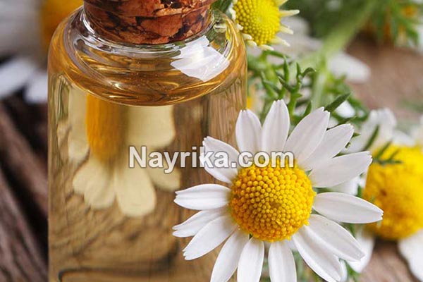 بابونه, مضرات بابونه, خواص بابونه, خواص بابونه برای معده, خواص دمنوش بابونه, بابونه و فشار خون, خواص بابونه برای عفونت زنان, بابونه رومی, چای بابونه, خواص چای بابونه, دمنوش بابونه, بخور بابونه بابونه, مضرات بابونه, خواص بابونه, خواص بابونه برای معده, خواص دمنوش بابونه, بابونه و فشار خون, خواص بابونه برای عفونت زنان, بابونه رومی, چای بابونه, خواص چای بابونه, دمنوش بابونه, بخور بابونه