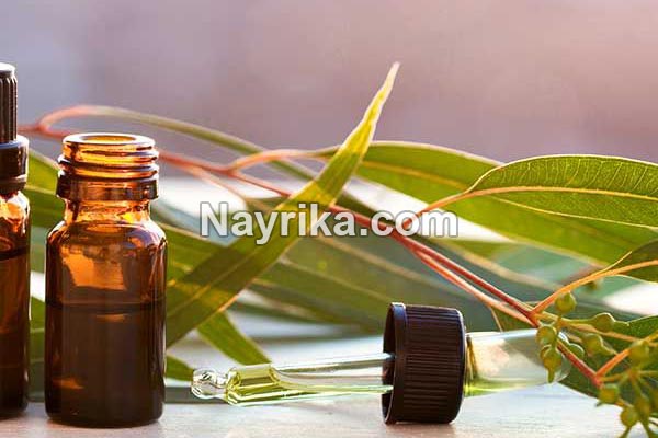 روغن اکالیپتوس, خواص روغن اکالیپتوس, خواص روغن اکالیپتوس برای مو, فواید روغن اکالیپتوس برای پوست, خواص روغن اکالیپتوس برای ریش, روغن اکالیپتوس برای شپش, طرز تهیه روغن اکالیپتوس, روغن اکالیپتوس برای ریش, خواص روغن اکالیپتوس برای پوست و مو, استخراج روغن اکالیپتوس روغن اکالیپتوس, خواص روغن اکالیپتوس, خواص روغن اکالیپتوس برای مو, فواید روغن اکالیپتوس برای پوست, خواص روغن اکالیپتوس برای ریش, روغن اکالیپتوس برای شپش, طرز تهیه روغن اکالیپتوس, روغن اکالیپتوس برای ریش, خواص روغن اکالیپتوس برای پوست و مو, استخراج روغن اکالیپتوس