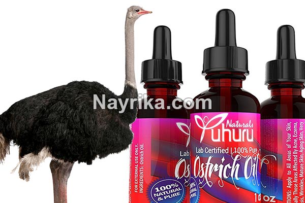 روغن شترمرغ, خواص روغن شترمرغ برای پوست, خواص روغن شترمرغ برای مو, خواص روغن شترمرغ برای موخوره, خواص روغن شترمرغ برای ابرو, خواص روغن شترمرغ برای استخوان, خواص روغن شترمرغ برای درد مفاصل, خواص روغن شترمرغ برای دیسک کمر, تشخیص روغن شترمرغ واقعی روغن شترمرغ, خواص روغن شترمرغ برای پوست, خواص روغن شترمرغ برای مو, خواص روغن شترمرغ برای موخوره, خواص روغن شترمرغ برای ابرو, خواص روغن شترمرغ برای استخوان, خواص روغن شترمرغ برای درد مفاصل, خواص روغن شترمرغ برای دیسک کمر, تشخیص روغن شترمرغ واقعی