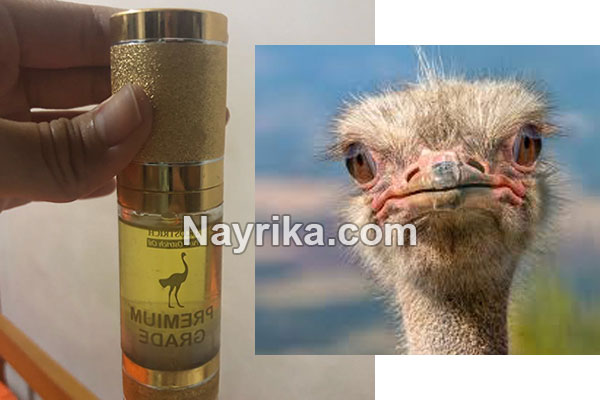 روغن شترمرغ, خواص روغن شترمرغ برای پوست, خواص روغن شترمرغ برای مو, خواص روغن شترمرغ برای موخوره, خواص روغن شترمرغ برای ابرو, خواص روغن شترمرغ برای استخوان, خواص روغن شترمرغ برای درد مفاصل, خواص روغن شترمرغ برای دیسک کمر, تشخیص روغن شترمرغ واقعی روغن شترمرغ, خواص روغن شترمرغ برای پوست, خواص روغن شترمرغ برای مو, خواص روغن شترمرغ برای موخوره, خواص روغن شترمرغ برای ابرو, خواص روغن شترمرغ برای استخوان, خواص روغن شترمرغ برای درد مفاصل, خواص روغن شترمرغ برای دیسک کمر, تشخیص روغن شترمرغ واقعی