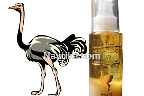روغن شترمرغ, خواص روغن شترمرغ برای پوست, خواص روغن شترمرغ برای مو, خواص روغن شترمرغ برای موخوره, خواص روغن شترمرغ برای ابرو, خواص روغن شترمرغ برای استخوان, خواص روغن شترمرغ برای درد مفاصل, خواص روغن شترمرغ برای دیسک کمر, تشخیص روغن شترمرغ واقعی روغن شترمرغ, خواص روغن شترمرغ برای پوست, خواص روغن شترمرغ برای مو, خواص روغن شترمرغ برای موخوره, خواص روغن شترمرغ برای ابرو, خواص روغن شترمرغ برای استخوان, خواص روغن شترمرغ برای درد مفاصل, خواص روغن شترمرغ برای دیسک کمر, تشخیص روغن شترمرغ واقعی