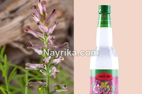 عرق شاتره, خواص عرق شاتره, مضرات عرق شاتره, دستور مصرف عرق شاتره و کاسنی, عرق شاتره در بارداری, عرق شاتره برای لاغری, بهترین زمان خوردن عرق کاسنی و شاتره, مضرات عرق کاسنی و شاتره, شاه تره جوش صورت, روش مصرف عرق شاتره عرق شاتره, خواص عرق شاتره, مضرات عرق شاتره, دستور مصرف عرق شاتره و کاسنی, عرق شاتره در بارداری, عرق شاتره برای لاغری, بهترین زمان خوردن عرق کاسنی و شاتره, مضرات عرق کاسنی و شاتره, شاه تره جوش صورت, روش مصرف عرق شاتره