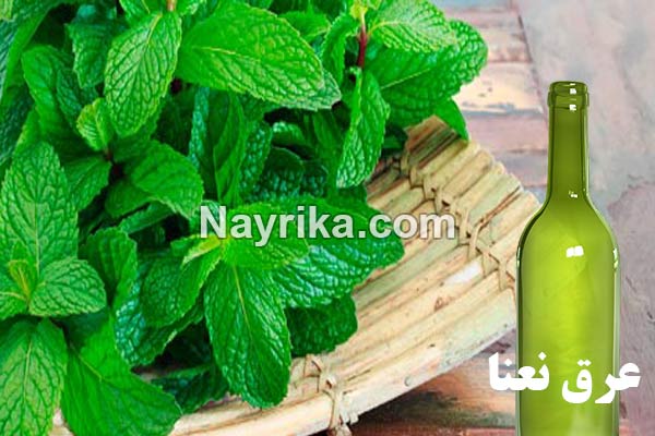 عرق نعناع, عرق نعنا, خواص عرق نعناع, عرق نعناع به انگلیسی, خواص عرق نعناع برای پوست, عرق نعناع و یبوست, عرق نعناع ویکی, خواص عرق نعناع برای لاغری, عرق نعناع برای اسهال, طبع عرق نعنا, طبیعت عرق نعنا, روش مصرف عرق نعنا عرق نعناع, عرق نعنا, خواص عرق نعناع, عرق نعناع به انگلیسی, خواص عرق نعناع برای پوست, عرق نعناع و یبوست, عرق نعناع ویکی, خواص عرق نعناع برای لاغری, عرق نعناع برای اسهال, طبع عرق نعنا, طبیعت عرق نعنا, روش مصرف عرق نعنا