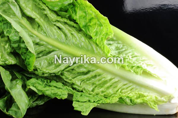 کاهو, خواص کاهو, مضرات کاهو, خواص کاهو قرمز, خواص کاهو برای جوش, کاهوی رومی, کاهو فرانسوی, کاهوی ایرانی, مغز کاهو, درباره کاهو, خواص آب کاهو کاهو, خواص کاهو, مضرات کاهو, خواص کاهو قرمز, خواص کاهو برای جوش, کاهوی رومی, کاهو فرانسوی, کاهوی ایرانی, مغز کاهو, درباره کاهو, خواص آب کاهو