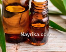 روغن اکالیپتوس: خواص روغن اکالیپتوس برای پوست و مو و ریش و شپش روغن اکالیپتوس: خواص روغن اکالیپتوس برای پوست و مو و ریش و شپش