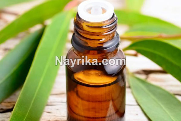 روغن اکالیپتوس, خواص روغن اکالیپتوس, خواص روغن اکالیپتوس برای مو, فواید روغن اکالیپتوس برای پوست, خواص روغن اکالیپتوس برای ریش, روغن اکالیپتوس برای شپش, طرز تهیه روغن اکالیپتوس, روغن اکالیپتوس برای ریش, خواص روغن اکالیپتوس برای پوست و مو, استخراج روغن اکالیپتوس روغن اکالیپتوس, خواص روغن اکالیپتوس, خواص روغن اکالیپتوس برای مو, فواید روغن اکالیپتوس برای پوست, خواص روغن اکالیپتوس برای ریش, روغن اکالیپتوس برای شپش, طرز تهیه روغن اکالیپتوس, روغن اکالیپتوس برای ریش, خواص روغن اکالیپتوس برای پوست و مو, استخراج روغن اکالیپتوس