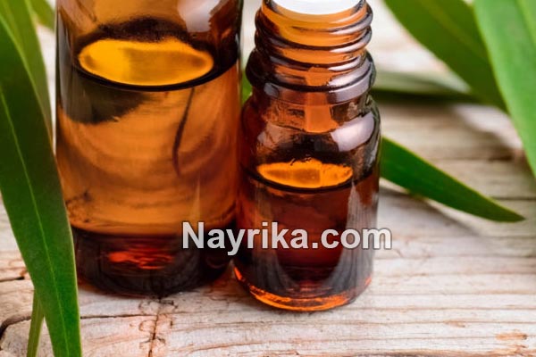 روغن اکالیپتوس, خواص روغن اکالیپتوس, خواص روغن اکالیپتوس برای مو, فواید روغن اکالیپتوس برای پوست, خواص روغن اکالیپتوس برای ریش, روغن اکالیپتوس برای شپش, طرز تهیه روغن اکالیپتوس, روغن اکالیپتوس برای ریش, خواص روغن اکالیپتوس برای پوست و مو, استخراج روغن اکالیپتوس روغن اکالیپتوس, خواص روغن اکالیپتوس, خواص روغن اکالیپتوس برای مو, فواید روغن اکالیپتوس برای پوست, خواص روغن اکالیپتوس برای ریش, روغن اکالیپتوس برای شپش, طرز تهیه روغن اکالیپتوس, روغن اکالیپتوس برای ریش, خواص روغن اکالیپتوس برای پوست و مو, استخراج روغن اکالیپتوس