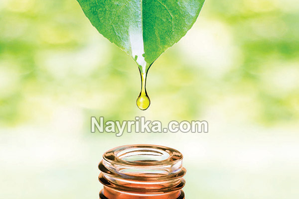 روغن درخت چای, خواص روغن درخت چای, طرز استفاده روغن درخت چای برای جوش, روغن درخت چای برای جای جوش, خواص روغن درخت چای برای جوش روغن درخت چای, خواص روغن درخت چای, طرز استفاده روغن درخت چای برای جوش, روغن درخت چای برای جای جوش, خواص روغن درخت چای برای جوش