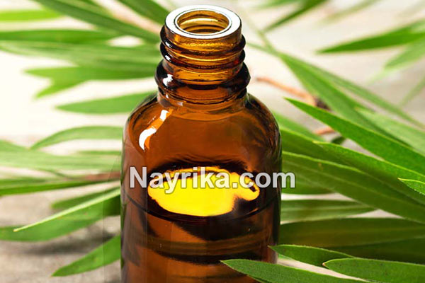 روغن درخت چای, خواص روغن درخت چای, طرز استفاده روغن درخت چای برای جوش, روغن درخت چای برای جای جوش, خواص روغن درخت چای برای جوش روغن درخت چای, خواص روغن درخت چای, طرز استفاده روغن درخت چای برای جوش, روغن درخت چای برای جای جوش, خواص روغن درخت چای برای جوش