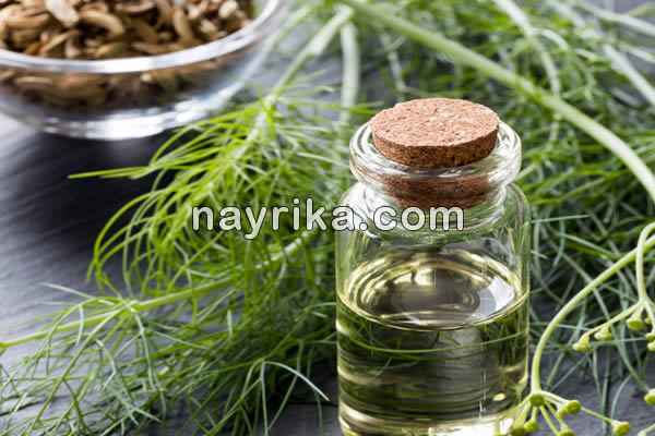 روغن رازیانه, خواص روغن رازیانه, روغن رازیانه برای سفیدی پوست, روغن رازیانه برای لک صورت, روغن رازیانه برای چاقی صورت, خواص روغن رازیانه برای دور چشم, خواص روغن رازیانه برای رشد مو, روغن رازیانه برای از بین بردن موهای زائد صورت روغن رازیانه, خواص روغن رازیانه, روغن رازیانه برای سفیدی پوست, روغن رازیانه برای لک صورت, روغن رازیانه برای چاقی صورت, خواص روغن رازیانه برای دور چشم, خواص روغن رازیانه برای رشد مو, روغن رازیانه برای از بین بردن موهای زائد صورت