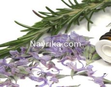 روغن رزماری یا اکلیل کوهی: خواص، عوارض، خواص برای مژه، مو، صورت، ریش، / طرز تهیه روغن رزماری حکیم تهرانی روغن رزماری یا اکلیل کوهی: خواص، عوارض، خواص برای مژه، مو، صورت، ریش، / طرز تهیه روغن رزماری حکیم تهرانی