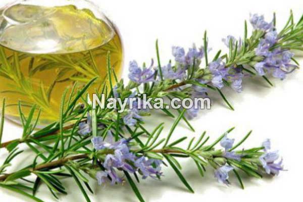روغن رزماری, خواص روغن رزماری, عوارض روغن رزماری, روغن رزماری برای مژه, روغن رزماری برای مو, روغن رزماری برای صورت, روغن رزماری برای ریش, طرز تهیه روغن رزماری, بهترین مارک روغن رزماری, طرز تهیه روغن رزماری حکیم تهرانی, بوی روغن رزماری روغن رزماری, خواص روغن رزماری, عوارض روغن رزماری, روغن رزماری برای مژه, روغن رزماری برای مو, روغن رزماری برای صورت, روغن رزماری برای ریش, طرز تهیه روغن رزماری, بهترین مارک روغن رزماری, طرز تهیه روغن رزماری حکیم تهرانی, بوی روغن رزماری