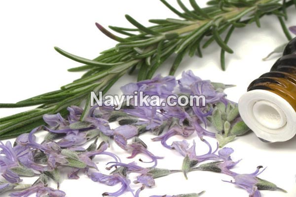 روغن رزماری, خواص روغن رزماری, عوارض روغن رزماری, روغن رزماری برای مژه, روغن رزماری برای مو, روغن رزماری برای صورت, روغن رزماری برای ریش, طرز تهیه روغن رزماری, بهترین مارک روغن رزماری, طرز تهیه روغن رزماری حکیم تهرانی, بوی روغن رزماری روغن رزماری, خواص روغن رزماری, عوارض روغن رزماری, روغن رزماری برای مژه, روغن رزماری برای مو, روغن رزماری برای صورت, روغن رزماری برای ریش, طرز تهیه روغن رزماری, بهترین مارک روغن رزماری, طرز تهیه روغن رزماری حکیم تهرانی, بوی روغن رزماری