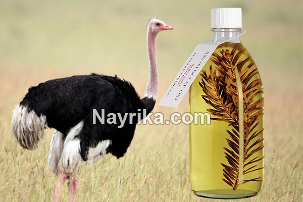روغن شترمرغ, خواص روغن شترمرغ برای پوست, خواص روغن شترمرغ برای مو, خواص روغن شترمرغ برای موخوره, خواص روغن شترمرغ برای ابرو, خواص روغن شترمرغ برای استخوان, خواص روغن شترمرغ برای درد مفاصل, خواص روغن شترمرغ برای دیسک کمر, تشخیص روغن شترمرغ واقعی روغن شترمرغ, خواص روغن شترمرغ برای پوست, خواص روغن شترمرغ برای مو, خواص روغن شترمرغ برای موخوره, خواص روغن شترمرغ برای ابرو, خواص روغن شترمرغ برای استخوان, خواص روغن شترمرغ برای درد مفاصل, خواص روغن شترمرغ برای دیسک کمر, تشخیص روغن شترمرغ واقعی