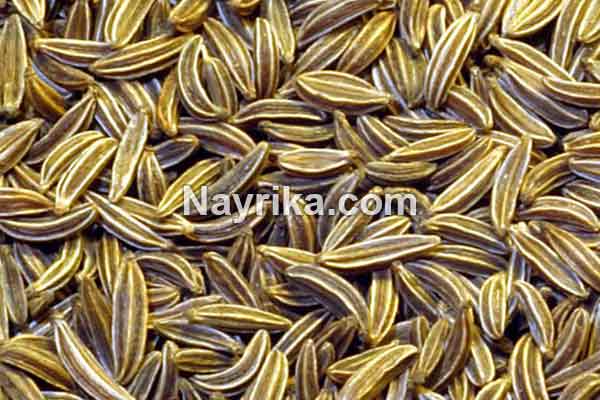 زیره, خواص زیره, مضرات زیره, طریقه مصرف زیره سیاه, زیره و چروک پوست, زیره سیاه و فشار خون, خواص زیره با برنج, خواص زیره و دارچین, تفاوت زیره سبز و سیاه زیره, خواص زیره, مضرات زیره, طریقه مصرف زیره سیاه, زیره و چروک پوست, زیره سیاه و فشار خون, خواص زیره با برنج, خواص زیره و دارچین, تفاوت زیره سبز و سیاه