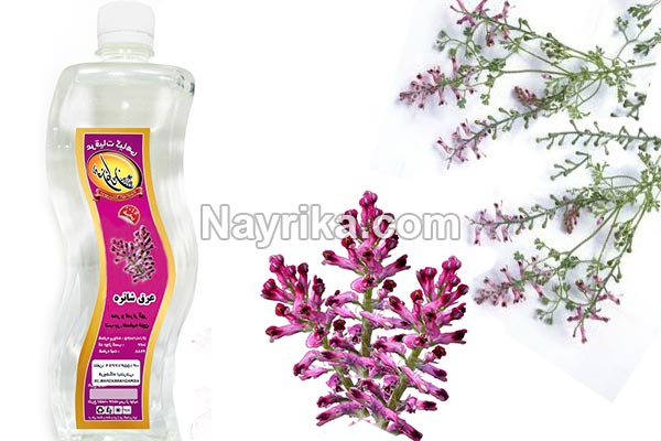 عرق شاتره, خواص عرق شاتره, مضرات عرق شاتره, دستور مصرف عرق شاتره و کاسنی, عرق شاتره در بارداری, عرق شاتره برای لاغری, بهترین زمان خوردن عرق کاسنی و شاتره, مضرات عرق کاسنی و شاتره, شاه تره جوش صورت, روش مصرف عرق شاتره عرق شاتره, خواص عرق شاتره, مضرات عرق شاتره, دستور مصرف عرق شاتره و کاسنی, عرق شاتره در بارداری, عرق شاتره برای لاغری, بهترین زمان خوردن عرق کاسنی و شاتره, مضرات عرق کاسنی و شاتره, شاه تره جوش صورت, روش مصرف عرق شاتره