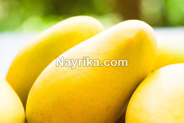 انبه, خواص انبه, مضرات انبه, طبع انبه, هسته انبه, خواص انبه برای پوست, خواص انبه برای کودکان, انبه گیلان, انبه سبز, طبیعت انبه انبه, خواص انبه, مضرات انبه, طبع انبه, هسته انبه, خواص انبه برای پوست, خواص انبه برای کودکان, انبه گیلان, انبه سبز, طبیعت انبه