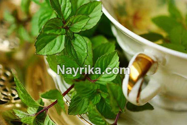 عرق نعناع, عرق نعنا, خواص عرق نعناع, عرق نعناع به انگلیسی, خواص عرق نعناع برای پوست, عرق نعناع و یبوست, عرق نعناع ویکی, خواص عرق نعناع برای لاغری, عرق نعناع برای اسهال, طبع عرق نعنا, طبیعت عرق نعنا, روش مصرف عرق نعنا عرق نعناع, عرق نعنا, خواص عرق نعناع, عرق نعناع به انگلیسی, خواص عرق نعناع برای پوست, عرق نعناع و یبوست, عرق نعناع ویکی, خواص عرق نعناع برای لاغری, عرق نعناع برای اسهال, طبع عرق نعنا, طبیعت عرق نعنا, روش مصرف عرق نعنا