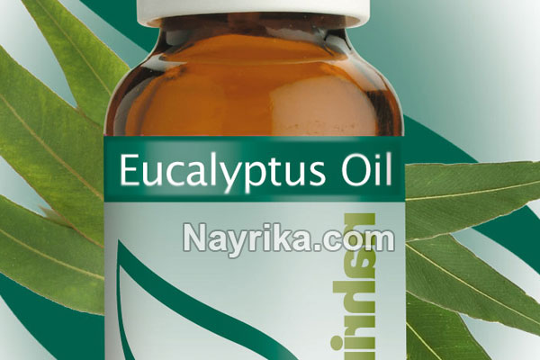 روغن اکالیپتوس, خواص روغن اکالیپتوس, خواص روغن اکالیپتوس برای مو, فواید روغن اکالیپتوس برای پوست, خواص روغن اکالیپتوس برای ریش, روغن اکالیپتوس برای شپش, طرز تهیه روغن اکالیپتوس, روغن اکالیپتوس برای ریش, خواص روغن اکالیپتوس برای پوست و مو, استخراج روغن اکالیپتوس روغن اکالیپتوس, خواص روغن اکالیپتوس, خواص روغن اکالیپتوس برای مو, فواید روغن اکالیپتوس برای پوست, خواص روغن اکالیپتوس برای ریش, روغن اکالیپتوس برای شپش, طرز تهیه روغن اکالیپتوس, روغن اکالیپتوس برای ریش, خواص روغن اکالیپتوس برای پوست و مو, استخراج روغن اکالیپتوس