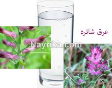عرق شاتره : مضرات و خواص / عرق کاسنی و شاه تره : برای لاغری و جوش صورت عرق شاتره : مضرات و خواص / عرق کاسنی و شاه تره : برای لاغری و جوش صورت