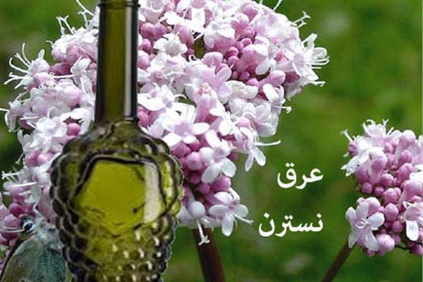 عرق نسترن, خواص عرق نسترن, مضرات عرق نسترن, طریقه مصرف عرق نسترن, خواص عرق نسترن و بیدمشک, عرق نسترن و فشار خون, عرق نسترن در بارداری, فواید عرق نسترن برای پوست, روش مصرف عرق نسترن, قیمت عرق نسترن عرق نسترن, خواص عرق نسترن, مضرات عرق نسترن, طریقه مصرف عرق نسترن, خواص عرق نسترن و بیدمشک, عرق نسترن و فشار خون, عرق نسترن در بارداری, فواید عرق نسترن برای پوست, روش مصرف عرق نسترن, قیمت عرق نسترن
