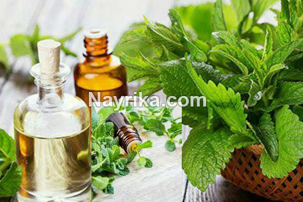 عرق نعناع, عرق نعنا, خواص عرق نعناع, عرق نعناع به انگلیسی, خواص عرق نعناع برای پوست, عرق نعناع و یبوست, عرق نعناع ویکی, خواص عرق نعناع برای لاغری, عرق نعناع برای اسهال, طبع عرق نعنا, طبیعت عرق نعنا, روش مصرف عرق نعنا عرق نعناع, عرق نعنا, خواص عرق نعناع, عرق نعناع به انگلیسی, خواص عرق نعناع برای پوست, عرق نعناع و یبوست, عرق نعناع ویکی, خواص عرق نعناع برای لاغری, عرق نعناع برای اسهال, طبع عرق نعنا, طبیعت عرق نعنا, روش مصرف عرق نعنا