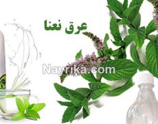 عرق نعناع : خواص عرق نعناع برای پوست و لاغری و اسهال و یبوست / طبع عرق نعنا عرق نعناع : خواص عرق نعناع برای پوست و لاغری و اسهال و یبوست / طبع عرق نعنا