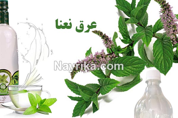 عرق نعناع, عرق نعنا, خواص عرق نعناع, عرق نعناع به انگلیسی, خواص عرق نعناع برای پوست, عرق نعناع و یبوست, عرق نعناع ویکی, خواص عرق نعناع برای لاغری, عرق نعناع برای اسهال, طبع عرق نعنا, طبیعت عرق نعنا, روش مصرف عرق نعنا