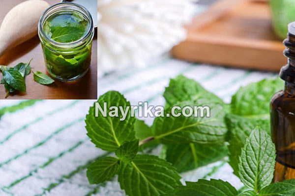 عرق نعناع, عرق نعنا, خواص عرق نعناع, عرق نعناع به انگلیسی, خواص عرق نعناع برای پوست, عرق نعناع و یبوست, عرق نعناع ویکی, خواص عرق نعناع برای لاغری, عرق نعناع برای اسهال, طبع عرق نعنا, طبیعت عرق نعنا, روش مصرف عرق نعنا عرق نعناع, عرق نعنا, خواص عرق نعناع, عرق نعناع به انگلیسی, خواص عرق نعناع برای پوست, عرق نعناع و یبوست, عرق نعناع ویکی, خواص عرق نعناع برای لاغری, عرق نعناع برای اسهال, طبع عرق نعنا, طبیعت عرق نعنا, روش مصرف عرق نعنا