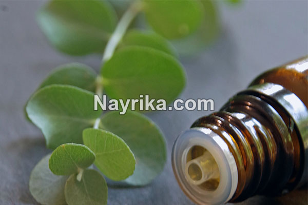 روغن اکالیپتوس, خواص روغن اکالیپتوس, خواص روغن اکالیپتوس برای مو, فواید روغن اکالیپتوس برای پوست, خواص روغن اکالیپتوس برای ریش, روغن اکالیپتوس برای شپش, طرز تهیه روغن اکالیپتوس, روغن اکالیپتوس برای ریش, خواص روغن اکالیپتوس برای پوست و مو, استخراج روغن اکالیپتوس روغن اکالیپتوس, خواص روغن اکالیپتوس, خواص روغن اکالیپتوس برای مو, فواید روغن اکالیپتوس برای پوست, خواص روغن اکالیپتوس برای ریش, روغن اکالیپتوس برای شپش, طرز تهیه روغن اکالیپتوس, روغن اکالیپتوس برای ریش, خواص روغن اکالیپتوس برای پوست و مو, استخراج روغن اکالیپتوس