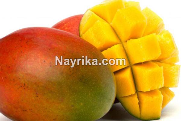 انبه, خواص انبه, مضرات انبه, طبع انبه, هسته انبه, خواص انبه برای پوست, خواص انبه برای کودکان, انبه گیلان, انبه سبز, طبیعت انبه انبه, خواص انبه, مضرات انبه, طبع انبه, هسته انبه, خواص انبه برای پوست, خواص انبه برای کودکان, انبه گیلان, انبه سبز, طبیعت انبه