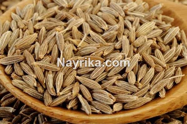 زیره, خواص زیره, مضرات زیره, طریقه مصرف زیره سیاه, زیره و چروک پوست, زیره سیاه و فشار خون, خواص زیره با برنج, خواص زیره و دارچین, تفاوت زیره سبز و سیاه زیره, خواص زیره, مضرات زیره, طریقه مصرف زیره سیاه, زیره و چروک پوست, زیره سیاه و فشار خون, خواص زیره با برنج, خواص زیره و دارچین, تفاوت زیره سبز و سیاه