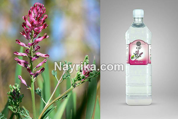 عرق شاتره, خواص عرق شاتره, مضرات عرق شاتره, دستور مصرف عرق شاتره و کاسنی, عرق شاتره در بارداری, عرق شاتره برای لاغری, بهترین زمان خوردن عرق کاسنی و شاتره, مضرات عرق کاسنی و شاتره, شاه تره جوش صورت, روش مصرف عرق شاتره عرق شاتره, خواص عرق شاتره, مضرات عرق شاتره, دستور مصرف عرق شاتره و کاسنی, عرق شاتره در بارداری, عرق شاتره برای لاغری, بهترین زمان خوردن عرق کاسنی و شاتره, مضرات عرق کاسنی و شاتره, شاه تره جوش صورت, روش مصرف عرق شاتره