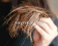 موخوره / علت، درمان, قاتل موخوره با وازیلین و سرکه / درمان قطعی موخوره در طب سنتی موخوره / علت، درمان, قاتل موخوره با وازیلین و سرکه / درمان قطعی موخوره در طب سنتی