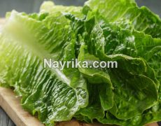 کاهو: خواص و مضرات / خواص کاهو برای جوش / خواص آب کاهو و مغز کاهو کاهو: خواص و مضرات / خواص کاهو برای جوش / خواص آب کاهو و مغز کاهو
