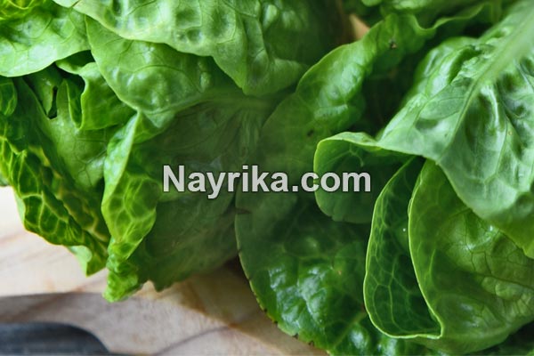 کاهو, خواص کاهو, مضرات کاهو, خواص کاهو قرمز, خواص کاهو برای جوش, کاهوی رومی, کاهو فرانسوی, کاهوی ایرانی, مغز کاهو, درباره کاهو, خواص آب کاهو کاهو, خواص کاهو, مضرات کاهو, خواص کاهو قرمز, خواص کاهو برای جوش, کاهوی رومی, کاهو فرانسوی, کاهوی ایرانی, مغز کاهو, درباره کاهو, خواص آب کاهو