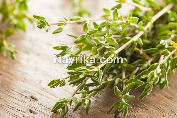 آویشن, آویشن چیست, انواع آویشن, خواص آویشن, مضرات آویشن, خواص آویشن برای پوست, خواص آویشن در لاغری, خواص آویشن برای سرماخوردگی, آویشن شیرازی, آویشن معمولی, طبع آویشن آویشن, آویشن چیست, انواع آویشن, خواص آویشن, مضرات آویشن, خواص آویشن برای پوست, خواص آویشن در لاغری, خواص آویشن برای سرماخوردگی, آویشن شیرازی, آویشن معمولی, طبع آویشن