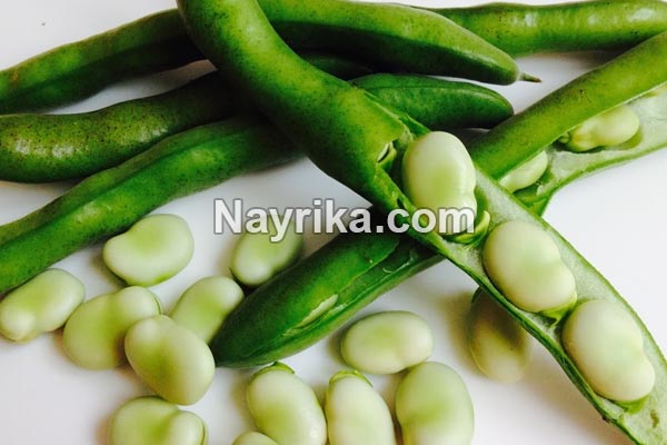 باقلا, خواص باقلا, مضرات باقلا, خواص باقلا برای پوست صورت, مضرات باقلا برای کودکان, مضرات باقلا برای کم خونی, باقلا و دیابت, باقلا و کم خونی, باقلا برای سرماخوردگی, باقلا در بارداری, آیا باقلا چاق کننده است باقلا, خواص باقلا, مضرات باقلا, خواص باقلا برای پوست صورت, مضرات باقلا برای کودکان, مضرات باقلا برای کم خونی, باقلا و دیابت, باقلا و کم خونی, باقلا برای سرماخوردگی, باقلا در بارداری, آیا باقلا چاق کننده است