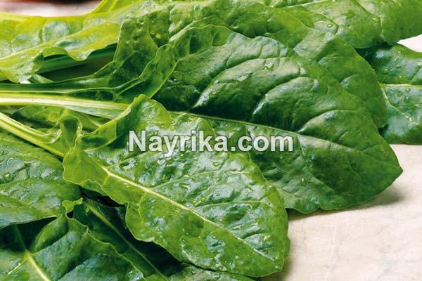 اسفناج, خواص اسفناج, مضرات اسفناج, طبع اسفناج, خواص اسفناج برای مو, اسفناج پخته, جوشانده اسفناج, پختن اسفناج, اسفناج سرده, شکل اسفناج, طبیعت اسفناج اسفناج, خواص اسفناج, مضرات اسفناج, طبع اسفناج, خواص اسفناج برای مو, اسفناج پخته, جوشانده اسفناج, پختن اسفناج, اسفناج سرده, شکل اسفناج, طبیعت اسفناج